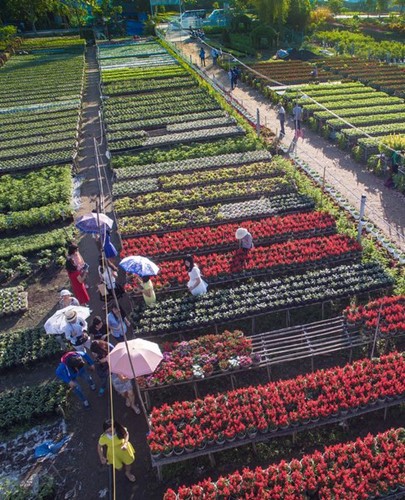 Весенняя атмосфера в цветочной деревне Шадэк - ảnh 9