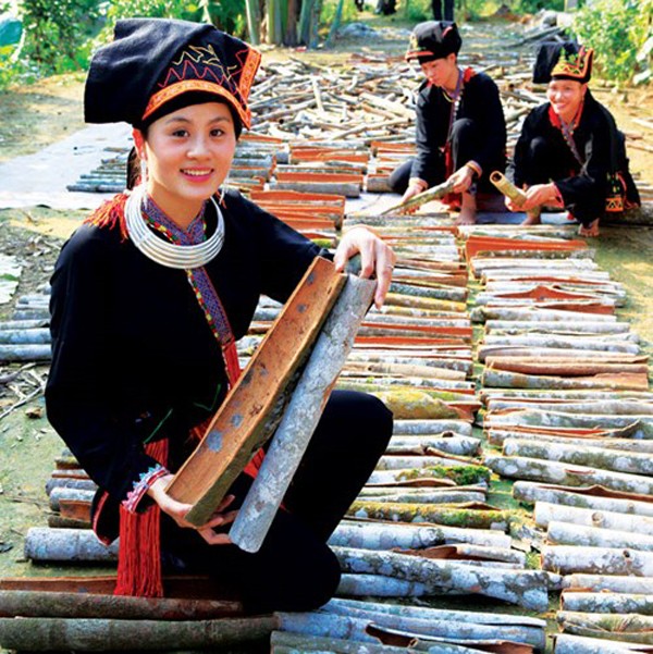 Зажиточная жизнь в зонах по выращиванию корицы в провинции Йенбай - ảnh 1