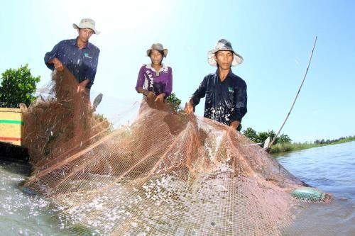 Dông Thap: les crues, enfin!  - ảnh 1