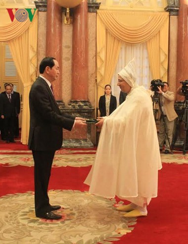 Le président Tran Dai Quang rencontre les nouveaux ambassadeurs - ảnh 1