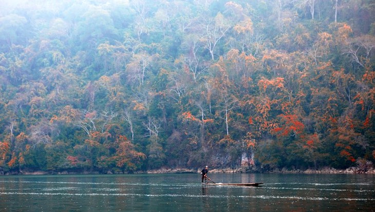 Ba Be-le plus grand lac naturel du Vietnam  - ảnh 3