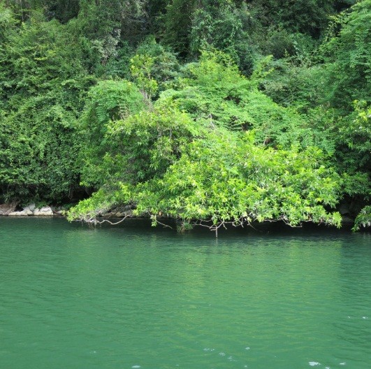 La beauté du lac de Ba Be - ảnh 10