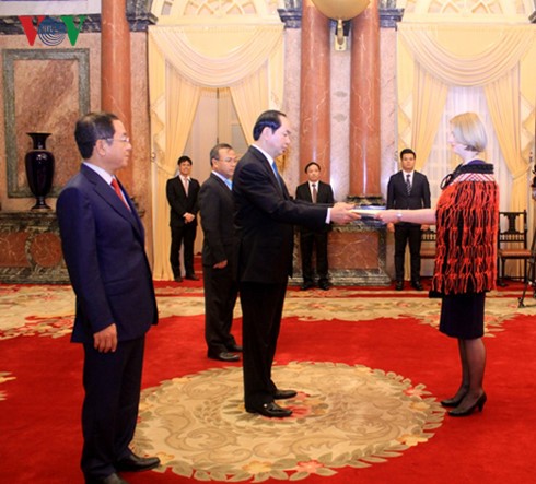 Tran Dai Quang rencontre les nouveaux ambassadeurs au Vietnam - ảnh 1