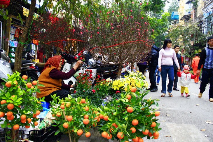 Les marchés du Tet - ảnh 1