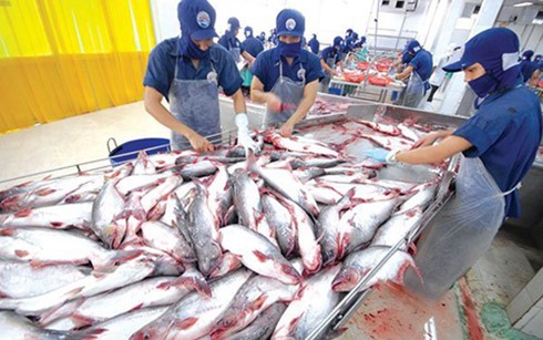 2017: une bonne année pour l’aquaculture - ảnh 1