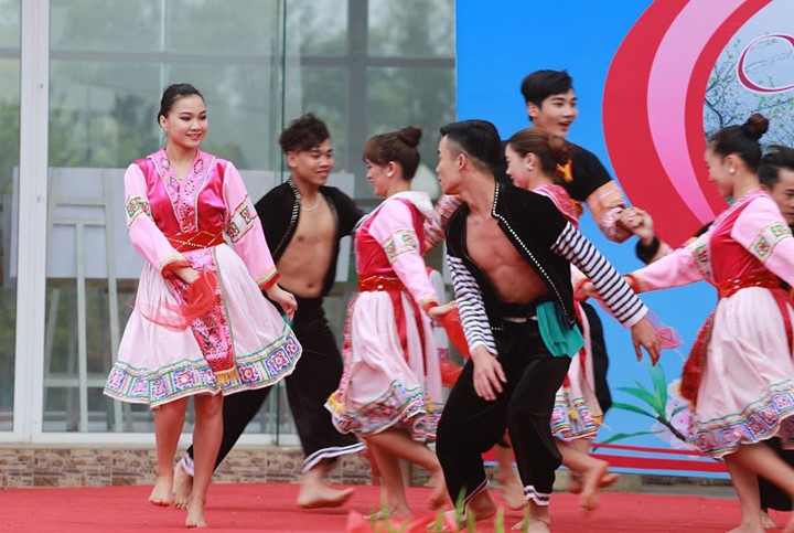 Activités dans le cadre de la fête «Couleurs du printemps dans l’ensemble du pays» - ảnh 1