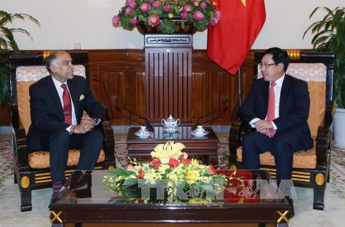 Pham Binh Minh rencontre l’ambassadrice indienne  - ảnh 1