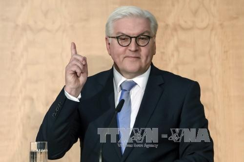 Le nouveau président allemand, Frank-Walter Steinmeier, entre en fonction - ảnh 1