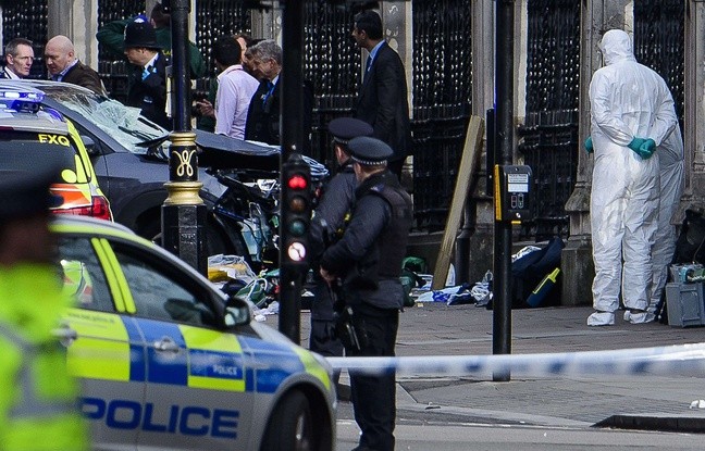 Attentat de Londres: deux personnes toujours en garde à vue - ảnh 1