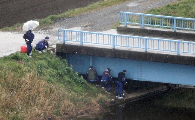 Le Vietnam demande une enquête sur la mort d’une petite fille vietnamienne au Japon - ảnh 1