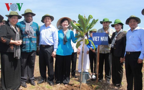 Planter des arbres, c’est investir dans l’avenir - ảnh 1