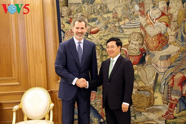 Pham Binh Minh reçu par le roi Felipe VI d'Espagne - ảnh 1