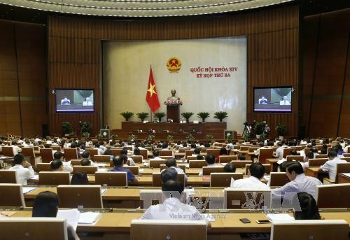   Assemblée nationale : débat sur les bénéficiaires de l’assistance juridique   - ảnh 1