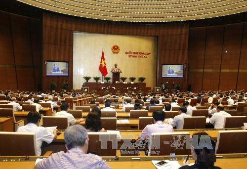 L’Assemblée nationale débat de la gestion et de l’utilisation des armes et des explosifs - ảnh 1