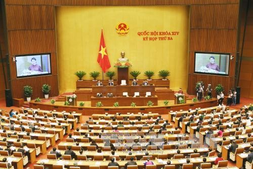 Assemblée nationale: l’hygiène et la sûreté alimentaire en débat   - ảnh 1