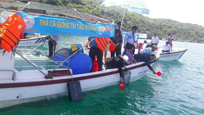 Diverses activités du festival maritime de Nha Trang-Khanh Hoà 2017 - ảnh 1