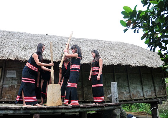 La fête du riz nouveau des Sedang - ảnh 1