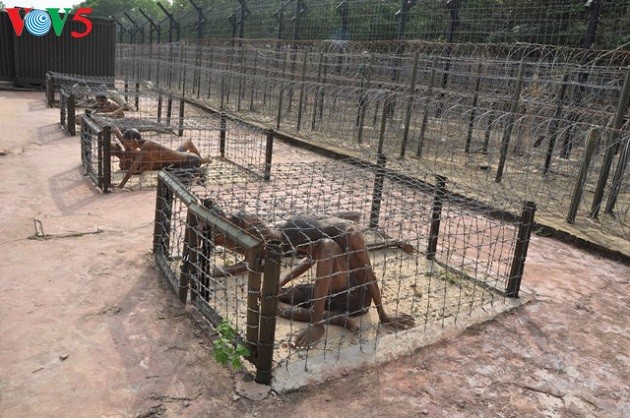 La prison de Phu Quôc, symbole des révolutionnaires indomptables - ảnh 1