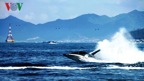 CNN vante le tourisme à Nha Trang - ảnh 1