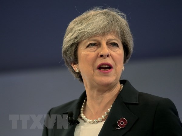 Brexit : vers une période de transition plus longue que prévue - ảnh 1