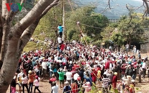 De nombreuses fêtes printanières organisées à Dak Lak - ảnh 1