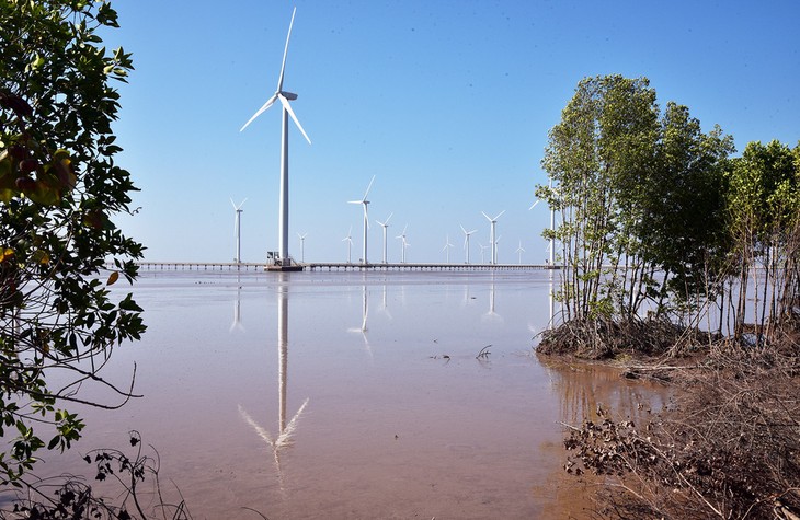 Des centrales photovoltaïques et éoliennes dans les zones aquacoles - ảnh 1