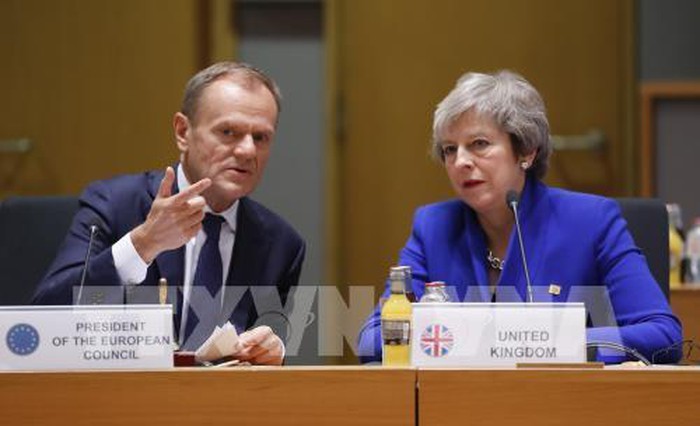 Faute de majorité, Theresa May repousse le vote du Brexit au Parlement - ảnh 1