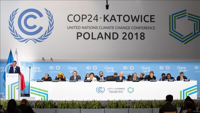 Climat : la COP25 se tiendra au Chili en novembre 2019 - ảnh 1