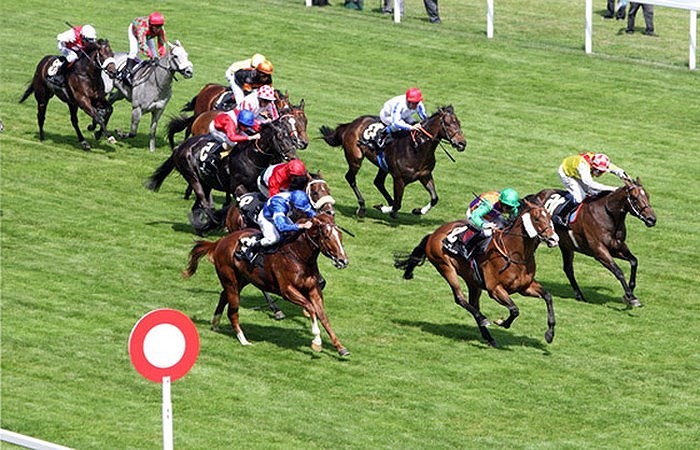 Feu vert pour la construction d’un hippodrome à Soc Son - ảnh 1