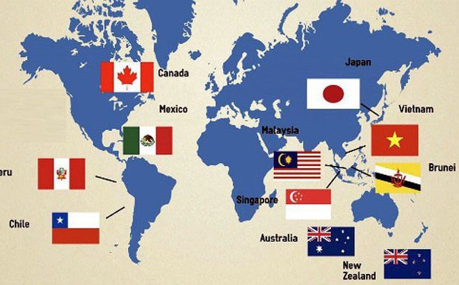 CPTPP: les deux rives du Pacifique connectées - ảnh 1