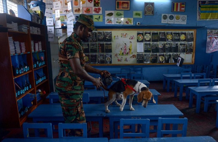 Le Sri Lanka sécurise ses écoles avant leur réouverture lundi - ảnh 1