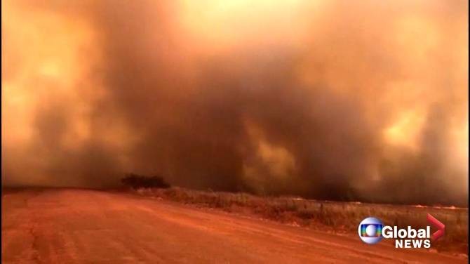 Incendies en Amazonie: le monde inquiet - ảnh 1