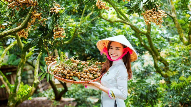 Première exportation de longanes vietnamiens en Australie - ảnh 1