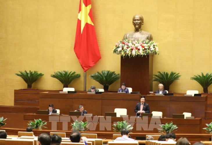 Assemblée nationale: le projet de loi sur les accords internationaux en débat - ảnh 1