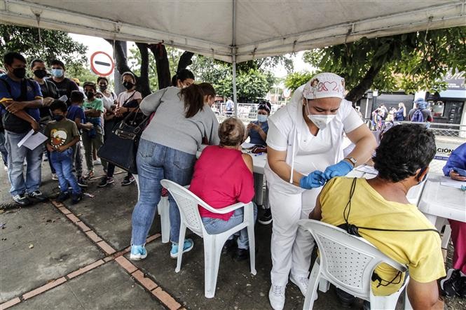 Covid-19: la pandémie a été responsable de la mort de 13 à 17 millions de personnes à la fin 2021 - ảnh 1