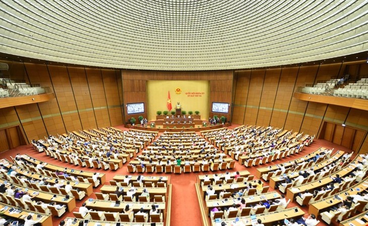 L'Assemblée nationale vote la résolution sur le programme de contrôle parlementaire de 2023 - ảnh 1