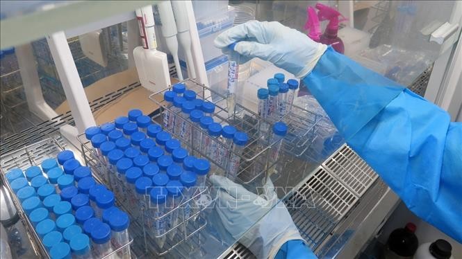 Covid-19: 777 nouvelles contaminations, aucun nouveau décès confirmé - ảnh 1