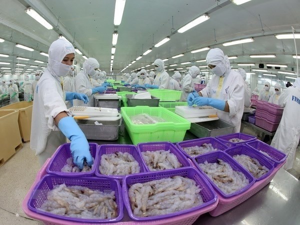 Fruits de mer : renforcer la coopération Vietnam-Inde  - ảnh 1