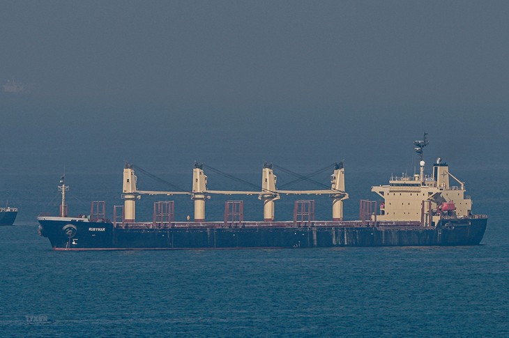 La Russie réaffirme sa position sur l'accord céréalier de la mer Noire - ảnh 1