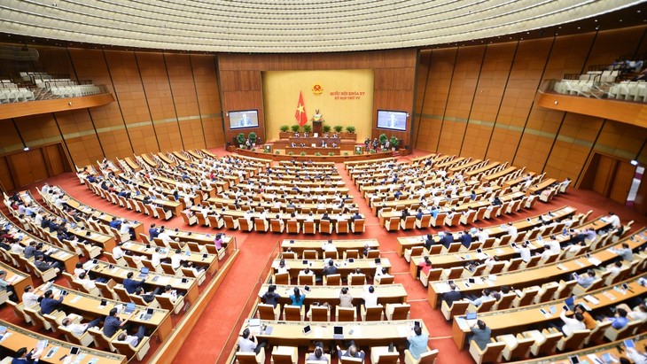 La 5e session de l’Assemblée nationale sera divisée en deux phases - ảnh 1