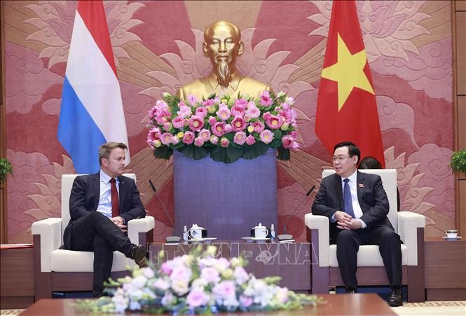 Vuong Dinh Huê rencontre Xavier Bettel - ảnh 1