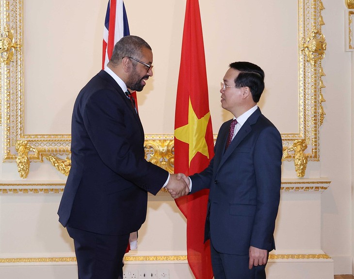 Vo Van Thuong rencontre des dirigeants britanniques, cubain et singapourien - ảnh 1