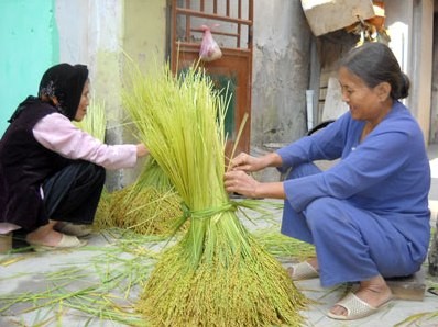 Ngày hội văn hóa làng Cốm Mễ Trì 2012 - ảnh 2