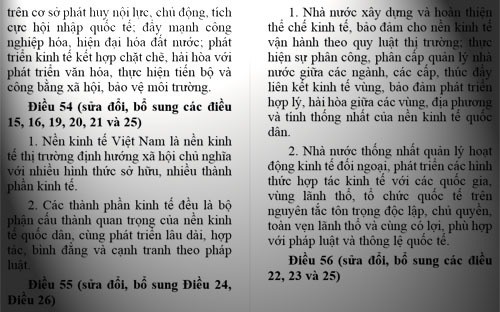 Dự thảo sửa đổi Hiến pháp 1992: Tạo bình đẳng giữa các thành phần kinh tế - ảnh 1