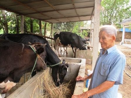 Huyện Củ Chi, thành phố Hồ Chí Minh xây dựng nông thôn mới - ảnh 1