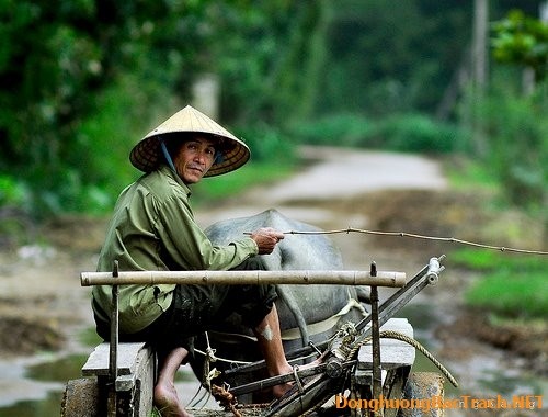 Người nhà quê! - ảnh 1