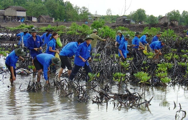 Tuyên dương các mô hình thanh niên xuất sắc trong bảo vệ môi trường - ảnh 1