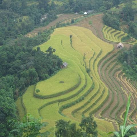 Cao nguyên đá Đồng Văn – Vẻ đẹp hoang sơ, hùng vỹ - ảnh 8