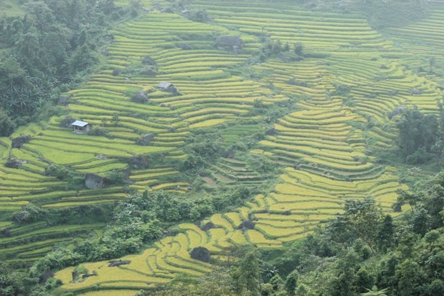 Cao nguyên đá Đồng Văn – Vẻ đẹp hoang sơ, hùng vỹ - ảnh 9