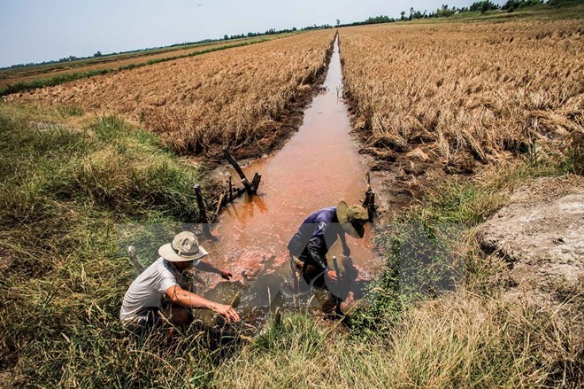 Tăng cường kỹ năng đánh giá tác động môi trường của các dự án phát triển tại ĐBSCL - ảnh 1